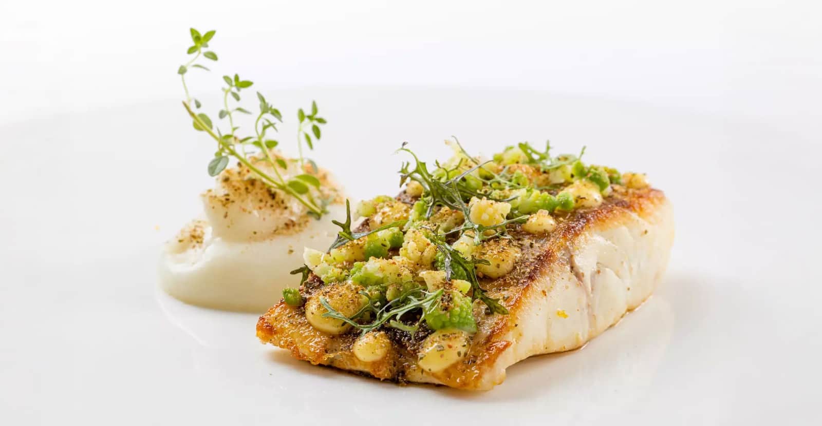 Filetto di pesce con pelle croccante guarnito con erbe verdi e granella, accanto a una capasanta su crema bianca con rametti di timo.