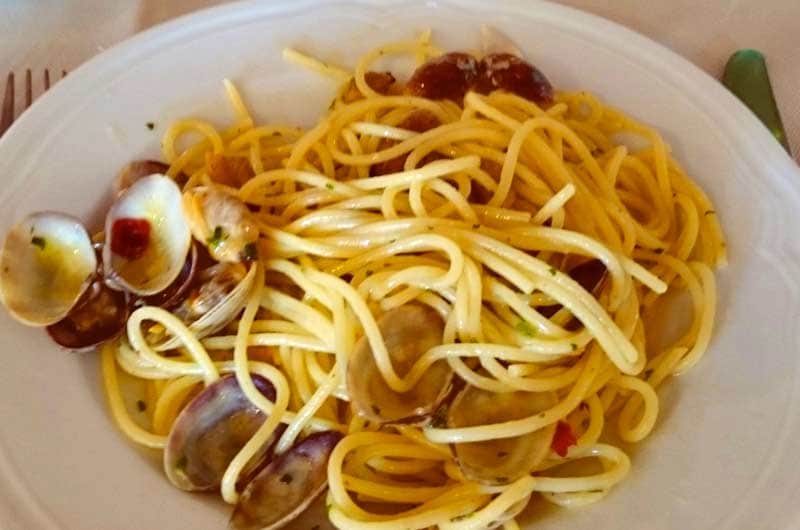 Piatto di spaghetti conditi con vongole in guscio e piccoli pomodorini, servito in un piatto bianco fondo.