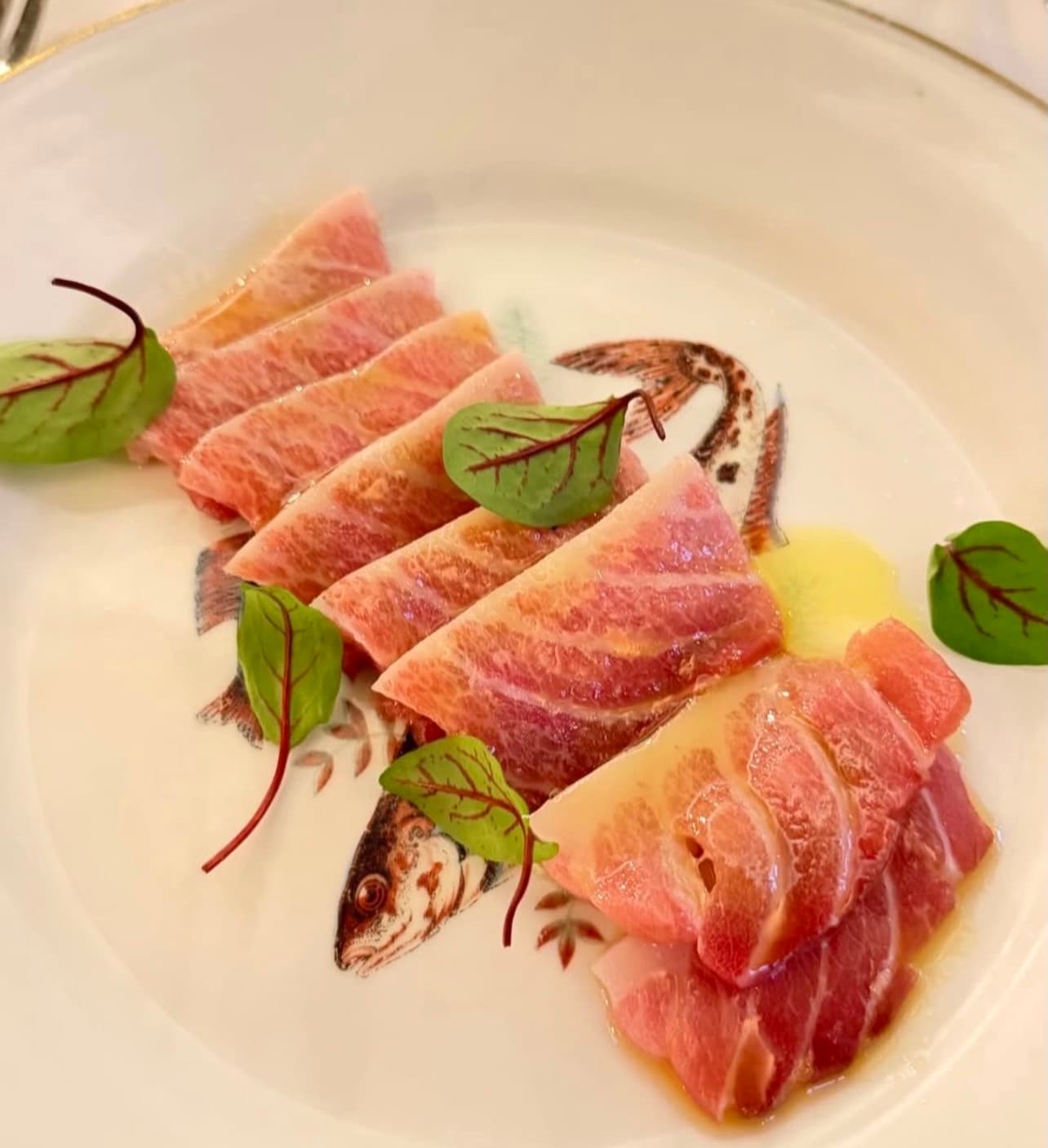 Frischer Fisch und hausgemachte Pasta, höflich serviert
