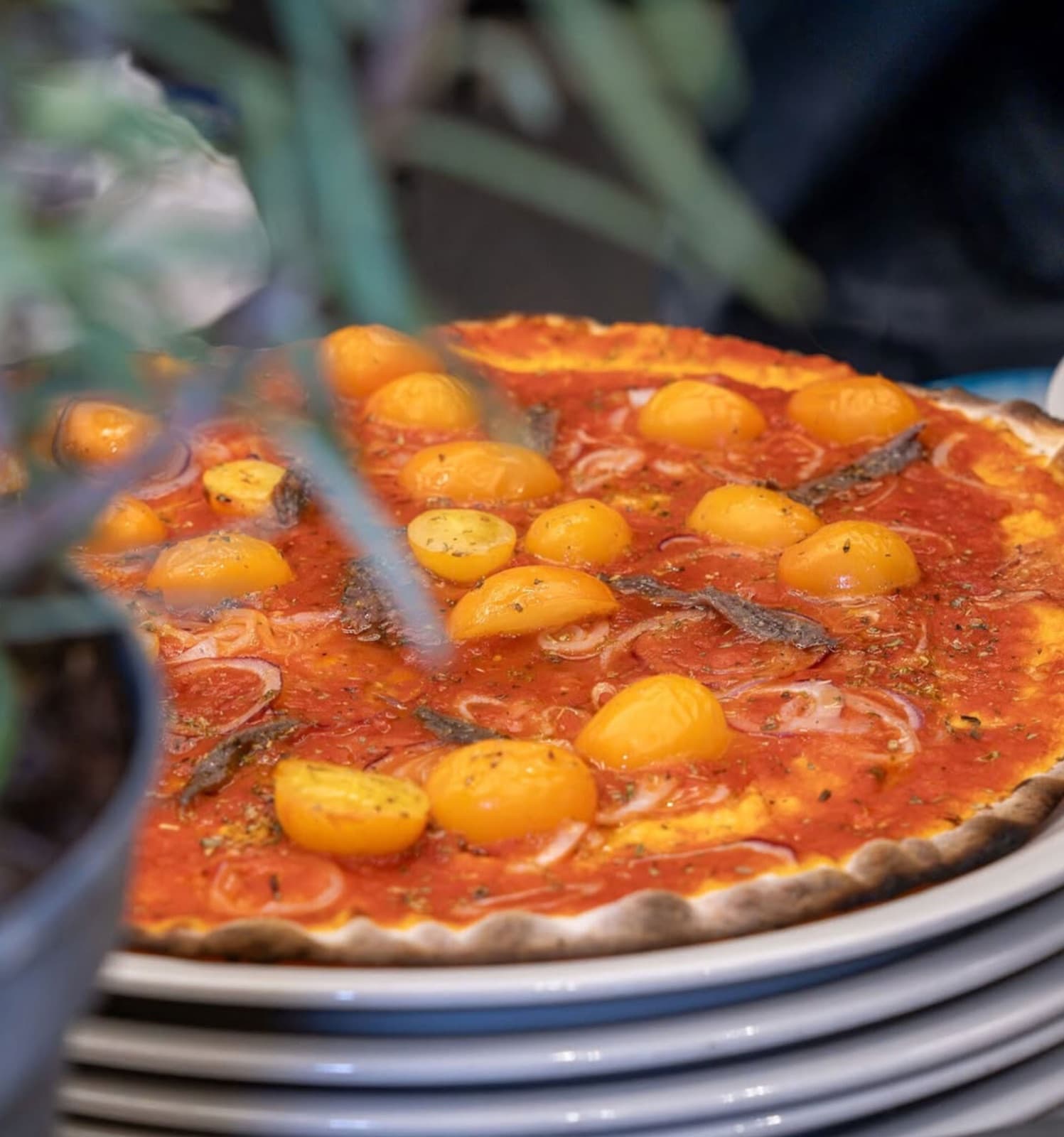 Pizza solitaria senza lattosio: alici, aglio nero e datterino