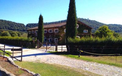 Il Casale di Martignano Ristorante Agriturismo